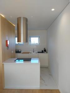 Η κουζίνα ή μικρή κουζίνα στο Brittos Home Lovely Stay - Villa Family in VN Famalicão