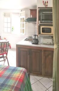 a kitchen with a stove and a microwave at Studio charmant à Sainte-Luce, 28 m², terrasse et jardin. in Sainte-Luce +23 photos