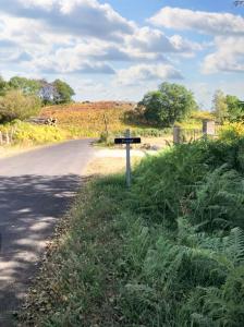 Příroda nedaleko prázdninového domu