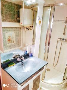 łazienka z umywalką i prysznicem w obiekcie Appartement cosy à Alfortville - 30 m² - Jardin privé w mieście Alfortville
