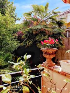 Ogród w obiekcie Appartement cosy à Alfortville - 30 m² - Jardin privé