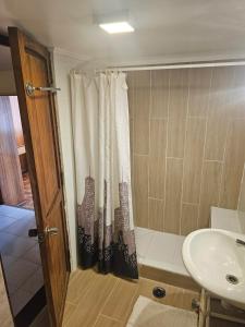 un bagno con doccia e lavandino di Alto Mar la Lisera ad Arica