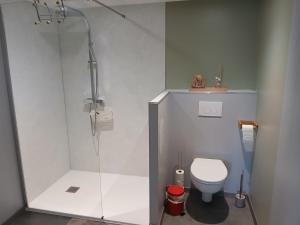a bathroom with a toilet and a glass shower at Les Terrasses Perchées sur l'Oudon Segré in Saint-Vincent