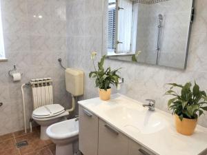 a bathroom with a toilet and a sink with two plants at Welcoming apartment in Novigrad, 40 m² with peaceful garden in Novigrad Istria +23 photos