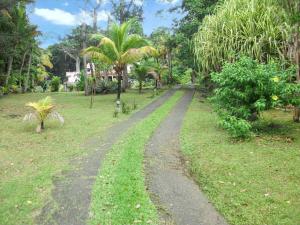 Zahrada ubytování Charme au cœur de Deshaies avec vue jardin et montagne