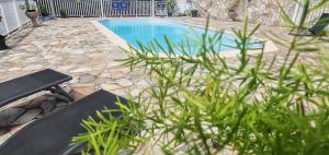 una piscina in un cortile con una pianta di Bungalow charmant à Capesterre 67 m² avec piscine partagee a Capesterre-Belle-Eau