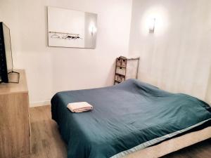 Posteľ alebo postele v izbe v ubytovaní Maison chaleureuse à Saint-Juéry avec jardin