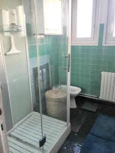 e bagno piastrellato verde con doccia e servizi igienici. di Charmante maison à Arcangues avec vue sur les montagnesEL ad Arcangues Altre 8 foto