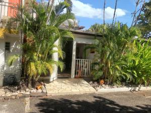a house with palm trees in front of it at Appartement charmeur à Sainte-Anne, 40 m², jardin in Sainte-Anne