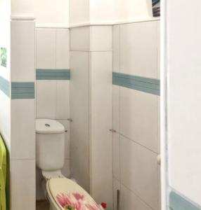 a small bathroom with a toilet in a room at Appartement charmeur à Sainte-Anne, 40 m², jardin in Sainte-Anne +6 photos