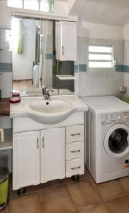 a bathroom with a sink and a washing machine at Appartement charmeur à Sainte-Anne, 40 m², jardin in Sainte-Anne
