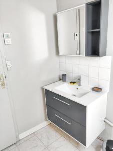 a bathroom with a sink and a mirror at Chaleureuse Maison de Campagne avec Terrasse et Cheminée in Lignières-de-Touraine +4 photos