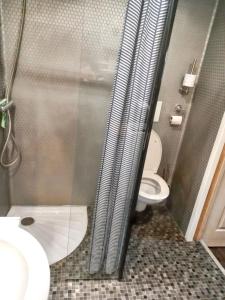 a bathroom with a shower with a toilet and a sink at Maison accueillante avec jardin proche d'Échenans. in Échenans
