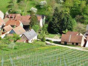 ein kleines Dorf mit Häusern und einem Zaun in der Unterkunft Appartement cosy à Bernardvillé 60 m² avec jardin vue montagne in Bernardvillé