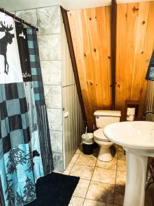 a bathroom with a toilet and a sink at Whispering Waters, Hocking Hills, Hot Tub, Pond in Rockbridge +22 photos
