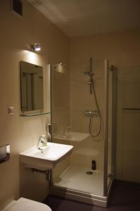 a bathroom with a shower and a sink and a toilet at Bobrovia Apartment in Warsaw