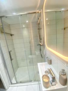 a bathroom with a shower and a sink at Appartement cosy à Les Pavillons-sous-Bois 30 m² avec jardin clôturé in Les Pavillons-sous-Bois