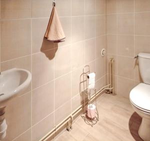 a bathroom with a toilet and a sink at Maison accueillante avec jardin à Assay in Assay +9 photos