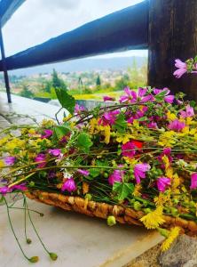 Zahrada ubytování Το ραχατι