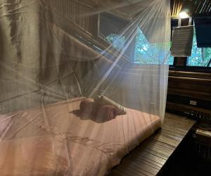 Ένα ή περισσότερα κρεβάτια σε δωμάτιο στο Remo Hostel