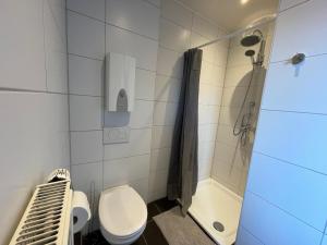 Bilik mandi di Ferienwohnung in Worms-Wiesoppenheim