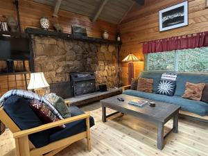 a living room with a couch and a fireplace at Culps Cascade | Wi-Fi, Woodstove, Cedar Hot tub in Packwood