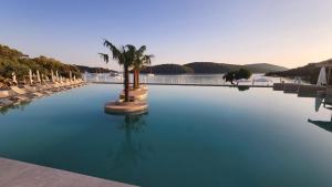 ein Swimmingpool mit Stühlen und einer Palme in der Unterkunft Sivota Gold in Syvota