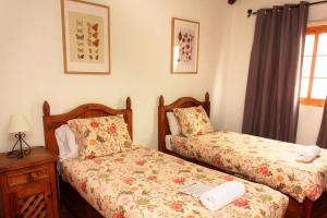 Photo de la galerie de l'établissement Hotel Las Cañadas, à La Esperanza 55 autres photos