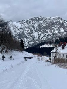 Eisenerz Alpine Apartement RoSy v zimě
