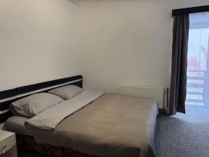 Imagen de la galería de Penzion Hradek, en Nový Hrádek