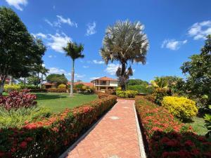 un camino a través de un jardín con flores y palmeras en La mejor casa campestre a 25 min de Villavicencio, en Villavicencio