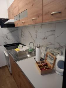 Η κουζίνα ή μικρή κουζίνα στο Apartman Mijate
