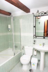 a bathroom with a toilet and a sink and a shower at Hotel Las Cañadas in La Esperanza +55 photos