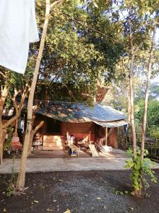 a house with a thatched roof in the woods at WELLNESS & FITNESS IN LIFE LA UNION fan kubo 4 pax 1 min to beach in Rimus