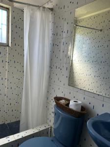 a bathroom with a blue toilet and a mirror at Condominio Entre Ríos in Valdivia