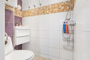 a bathroom with a toilet and a shower at Apartment 20 minutes from City Center w Coffee, Tea, TV, and Parking in Bratislava