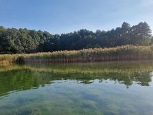 Billede fra billedgalleriet på Pensjonat u Mietka i Narty