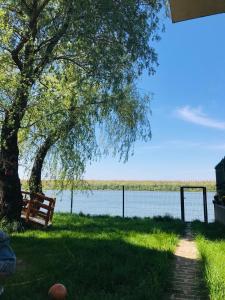 a bench under a tree next to a lake at Bird of Paradise in Belgrade +5 photos