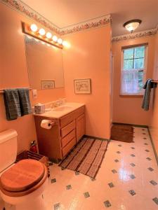 a bathroom with a toilet and a sink and a mirror at Mossy Moose Cabin | Near White Pass & Mt Rainier in Packwood