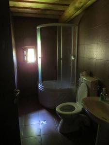 a bathroom with a shower and a toilet and a sink at Hanul Prislop in Statiunea Borsa
