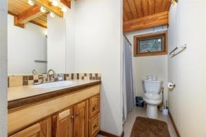 a bathroom with a sink and a toilet at Trails End | Hot Tub, Starlink, Woodstove in Packwood +39 photos