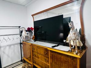 TV a/nebo společenská místnost v ubytování Museo