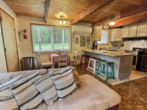 Una sala de estar con un sofá y una cocina. en Papa`s Packwood Cabin, en Packwood