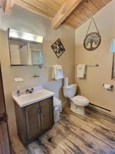 Un baño con inodoro, lavabo y espejo. en Papa`s Packwood Cabin, en Packwood 10 fotos más