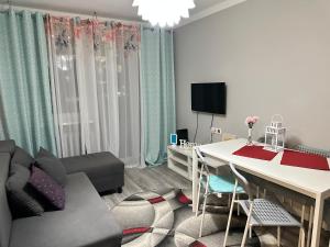 TV a/nebo společenská místnost v ubytování Centrum Pańska3 Apartment PARKING