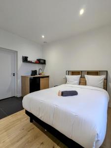 a bedroom with a large white bed with a stuffed animal on it at Le coin des rêves in Roanne +3 photos