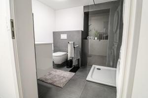 a small bathroom with a toilet and a sink at FeWoMo Exclusives Moselappartment, Boots Slipanlage, Moselradweg, Zentral, 5 Gäste in Brauneberg +16 photos