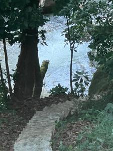 Ảnh trong thư viện ảnh của Recanto da Cachoeira RJ ở Majé