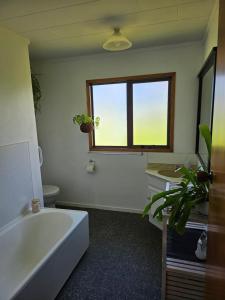 TV a/nebo společenská místnost v ubytování Hot Water Beach Farm Stay
