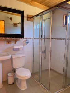 a bathroom with a toilet and a glass shower at Hostal Tour Pucon in Pucón +39 photos